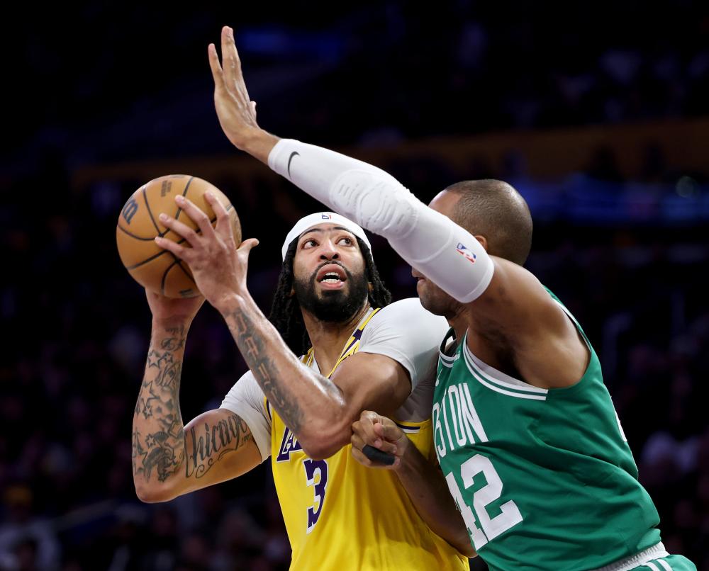 都带来了不 都带来了不