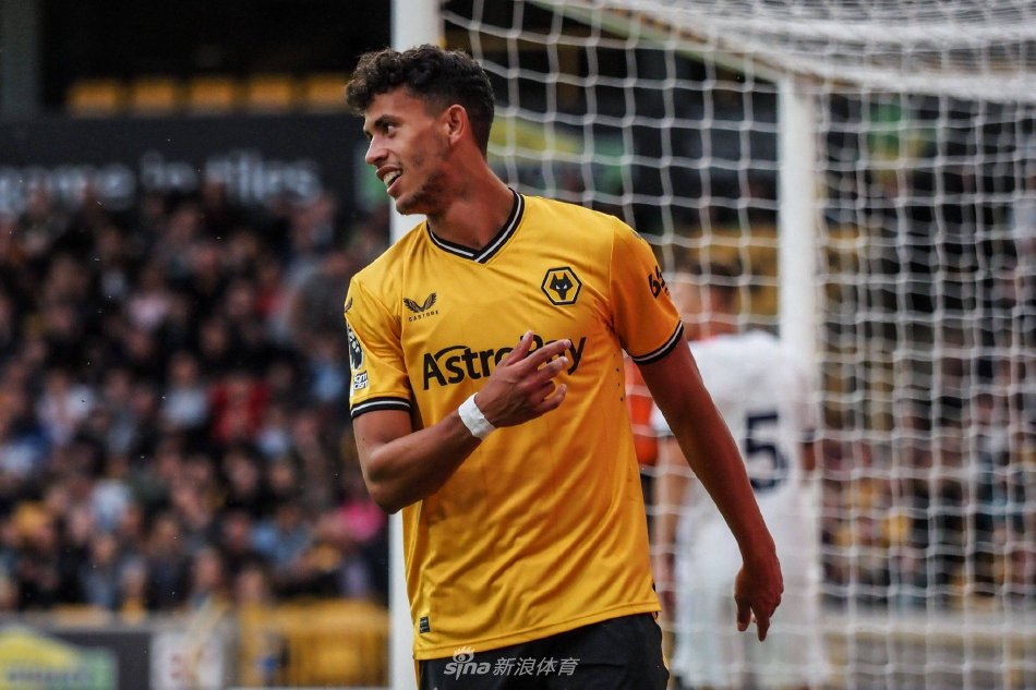 不仅融入了 不仅融入了